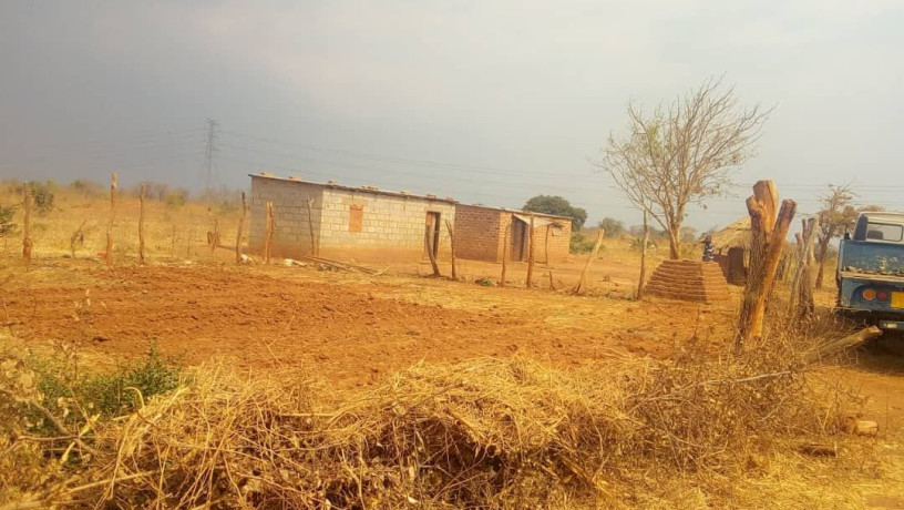 land-with-houses-and-piggery-structure-for-sale-big-7