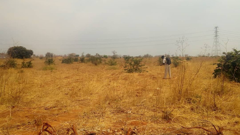 land-with-houses-and-piggery-structure-for-sale-big-1