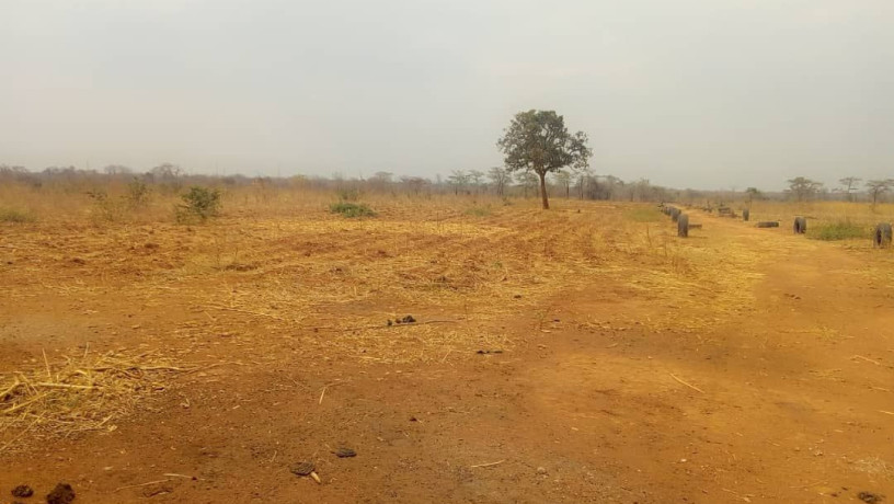 land-with-houses-and-piggery-structure-for-sale-big-3