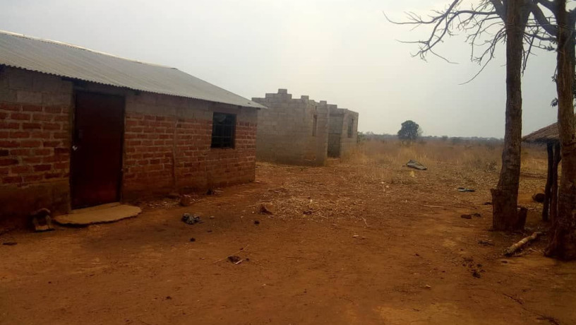 land-with-houses-and-piggery-structure-for-sale-big-4