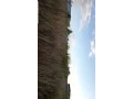 industrial-land-for-sale-in-chinika-industrial-area-small-2
