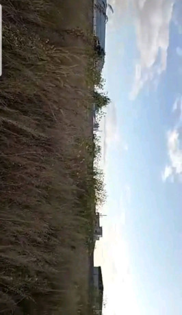 industrial-land-for-sale-in-chinika-industrial-area-big-2
