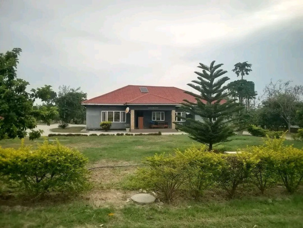 developed-property-for-sale-near-mt-meru-big-9