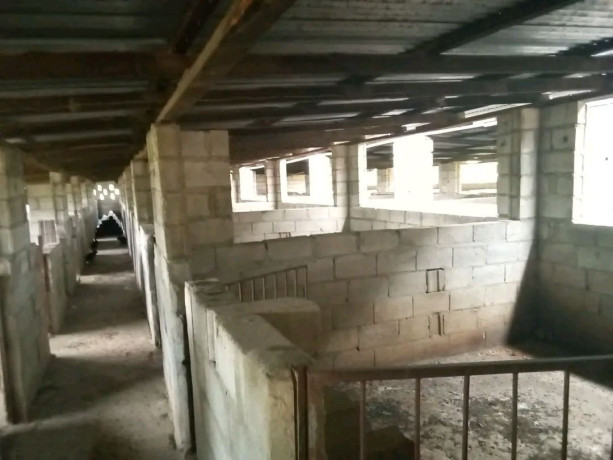 developed-property-for-sale-near-mt-meru-big-1