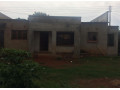 3-bedroom-house-in-libala-south-small-2