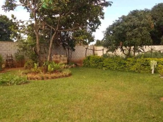 New Avondale – Three Bedroom House for Rent