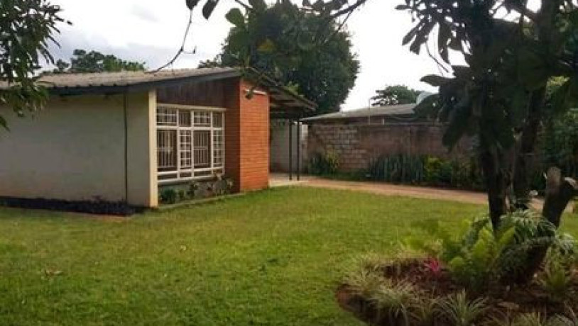 new-avondale-three-bedroom-house-for-rent-big-2