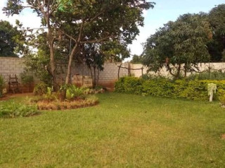 new-avondale-three-bedroom-house-for-rent