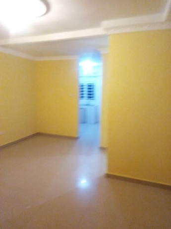 modern-2-bedroom-flat-in-chelston-palm-drive-big-1
