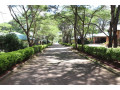 properties-for-rent-small-3