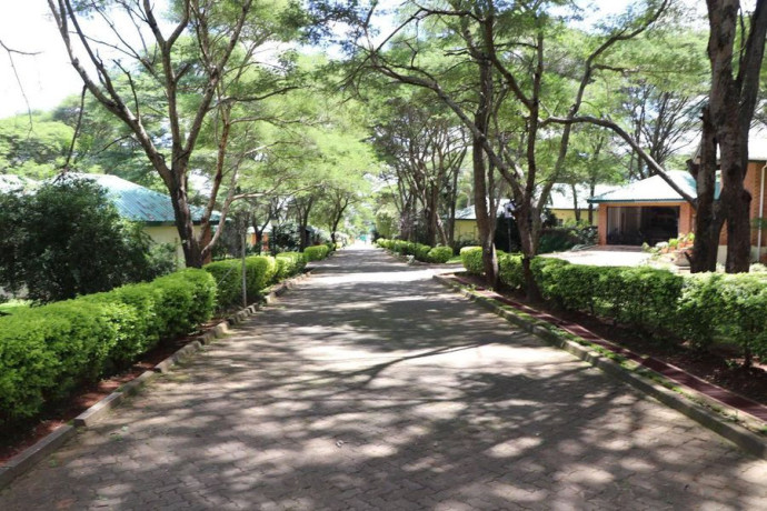 properties-for-rent-big-3