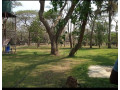 56-acres-for-sale-in-eureka-small-4