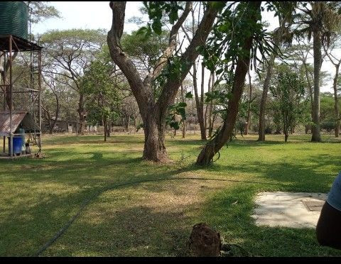 56-acres-for-sale-in-eureka-big-4