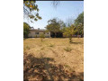 olympia-property-for-sale-small-4
