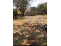 olympia-property-for-sale-small-2