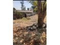 olympia-property-for-sale-small-3