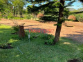 executive-three-bedroom-house-near-kafue-river-small-5