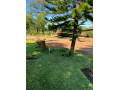 executive-three-bedroom-house-near-kafue-river-small-5