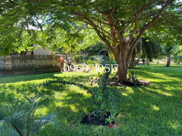 executive-three-bedroom-house-near-kafue-river-big-4