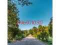 executive-residential-house-for-sale-small-1