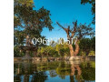 executive-residential-house-for-sale-small-3