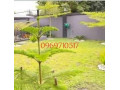 newly-built-complex-of-two-houses-for-sale-small-3