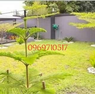 newly-built-complex-of-two-houses-for-sale-big-3