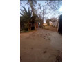 quick-sale-3-bedroom-house-in-olympia-small-3