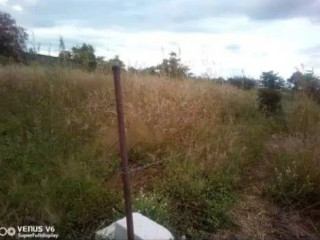 Makeni Property for Sale