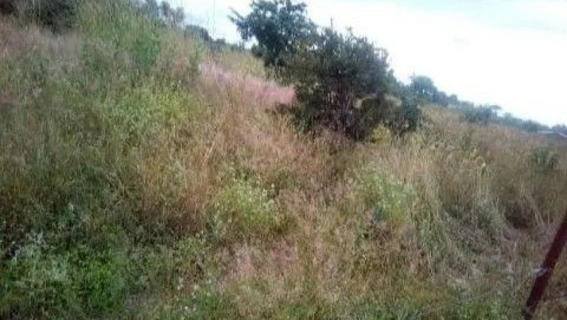 makeni-property-for-sale-big-6