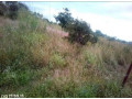 makeni-property-for-sale-small-6