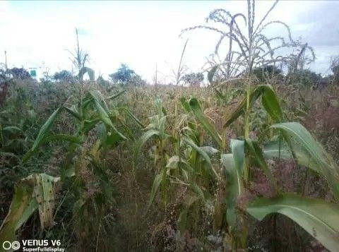 makeni-property-for-sale-big-4