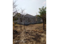 plot-for-living-and-small-scale-farming-small-4