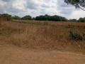 residential-plots-for-sale-in-makeni-konga-small-2