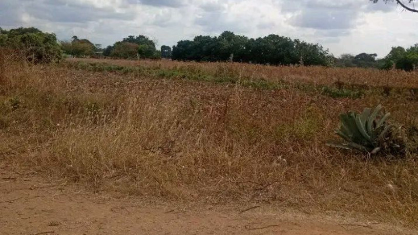 residential-plots-for-sale-in-makeni-konga-big-2