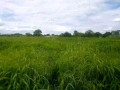 115-hectares-with-stream-lusaka-west-small-0