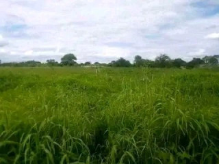 11.5 Hectares with Stream - Lusaka West