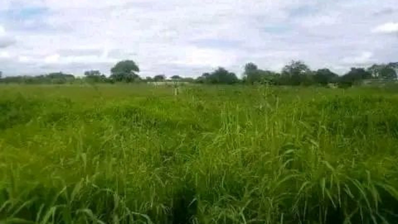 115-hectares-with-stream-lusaka-west-big-0