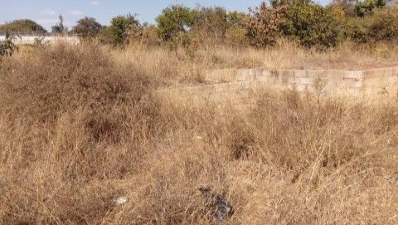 residential-plot-for-sale-in-libala-south-big-1