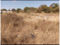 residential-plot-for-sale-in-libala-south-small-1