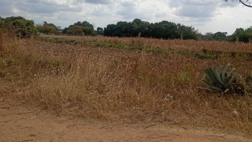 residential-plots-for-sale-in-makeni-konga-big-3