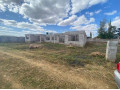 makeni-mimosa-plots-small-3