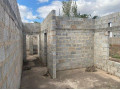 makeni-mimosa-plots-small-1