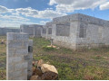 makeni-mimosa-plots-small-0