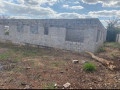 makeni-mimosa-plots-small-2