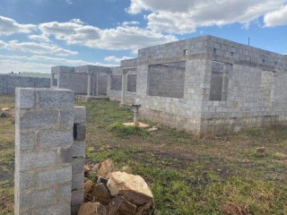 makeni-mimosa-plots