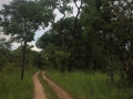 230-hectares-of-virgin-land-in-kapiri-mposhi-small-3