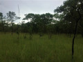 230-hectares-of-virgin-land-in-kapiri-mposhi-small-6