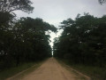 230-hectares-of-virgin-land-in-kapiri-mposhi-small-5