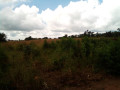 land-for-sale-in-katuba-small-1